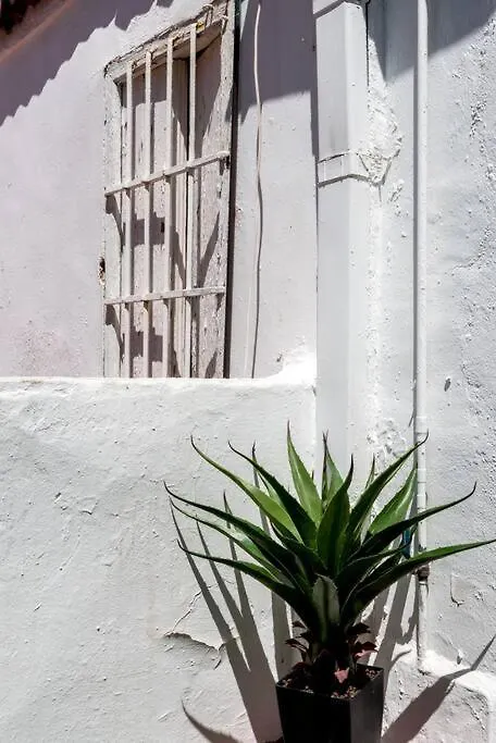 Salvador Urban Apartment Seville